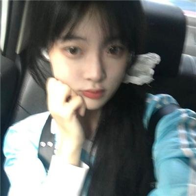 爱是一只猫